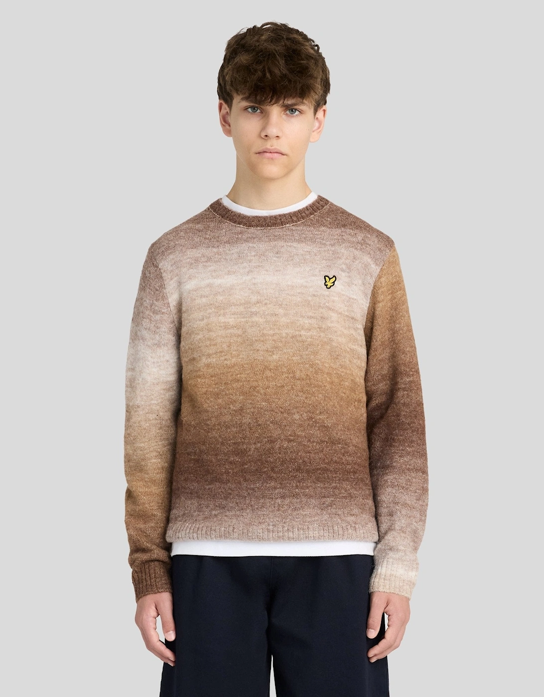 Ombre Crew Neck Jumper