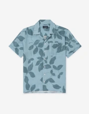 Blue Linen