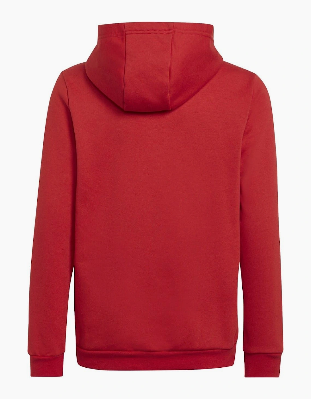 Ent22 Hoodie Juniors