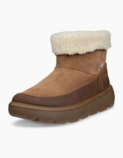 Camel/Camel