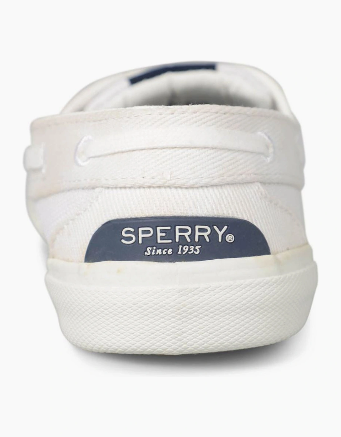 Pier Wave Boa
