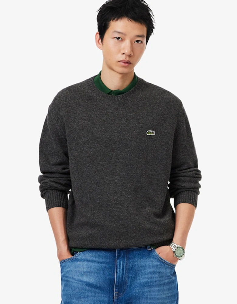 Lacoste Wool Crew Neck Sweater