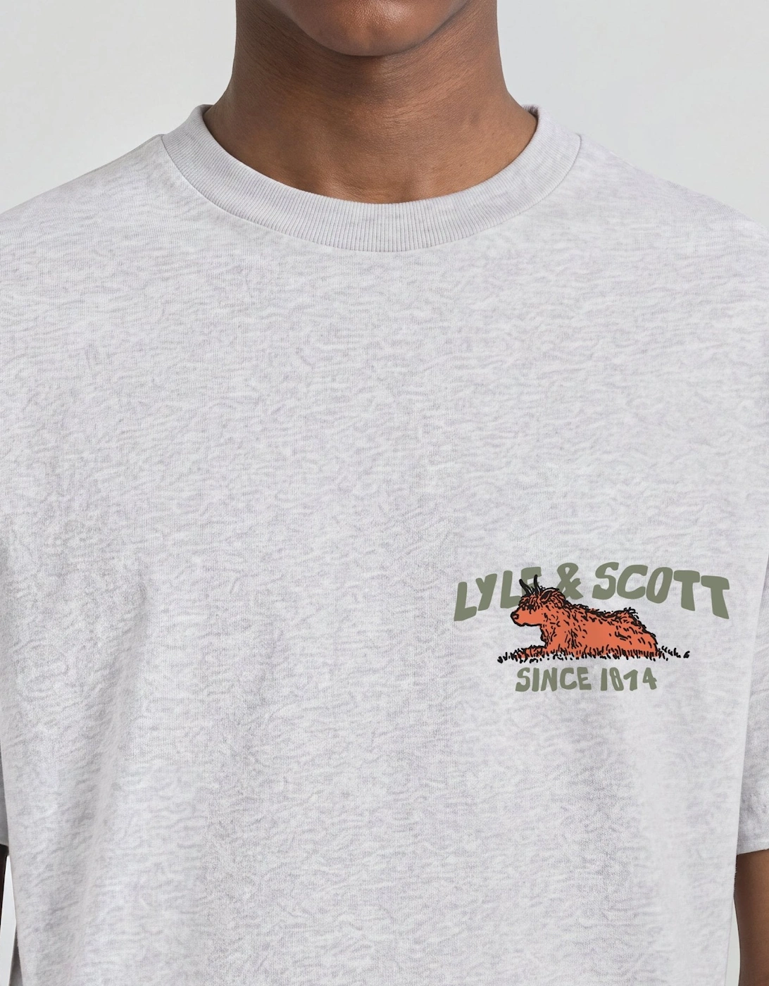 Highland Cow Graphic T -Shirt