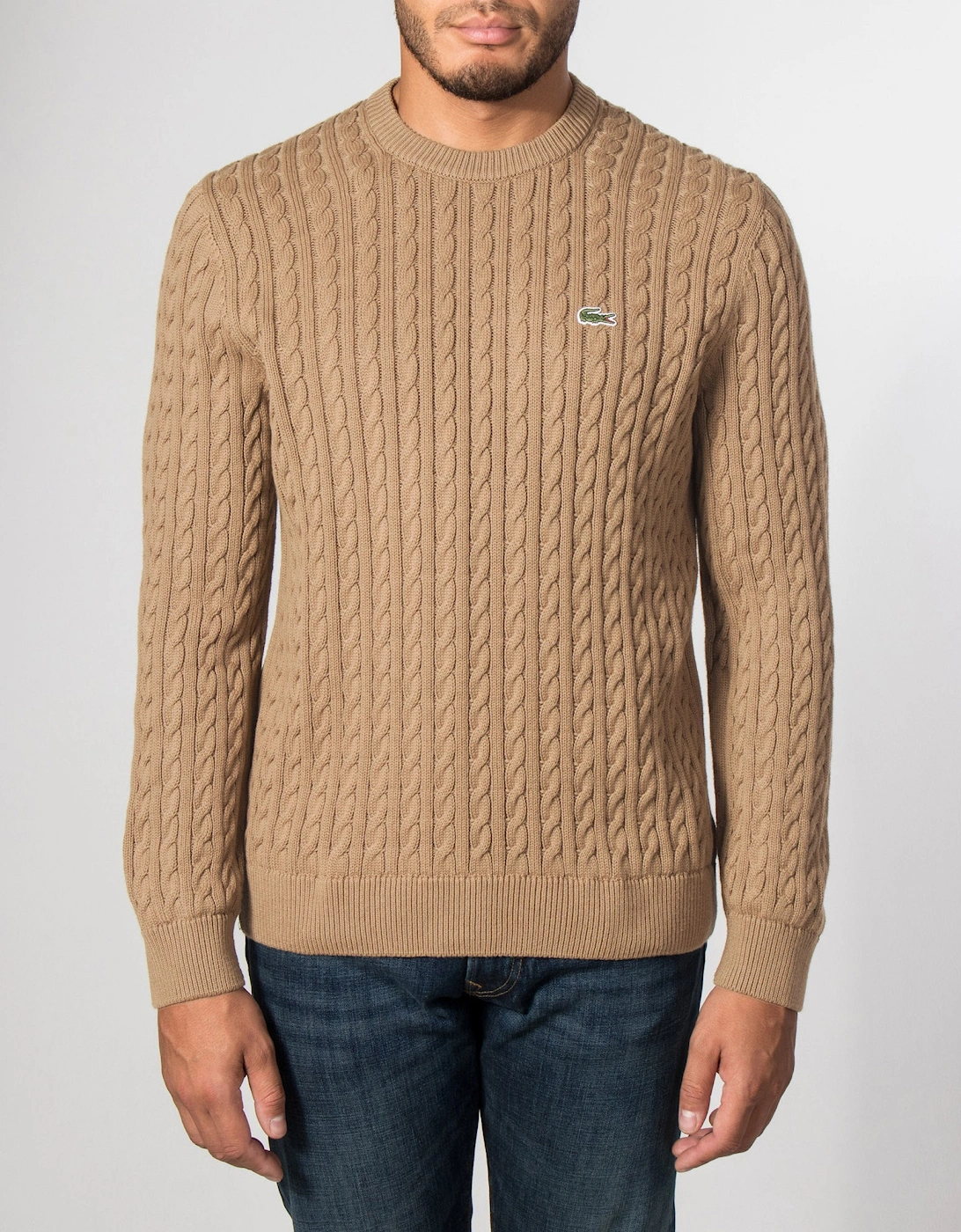 Regular Fit Cable Knitted Jumper