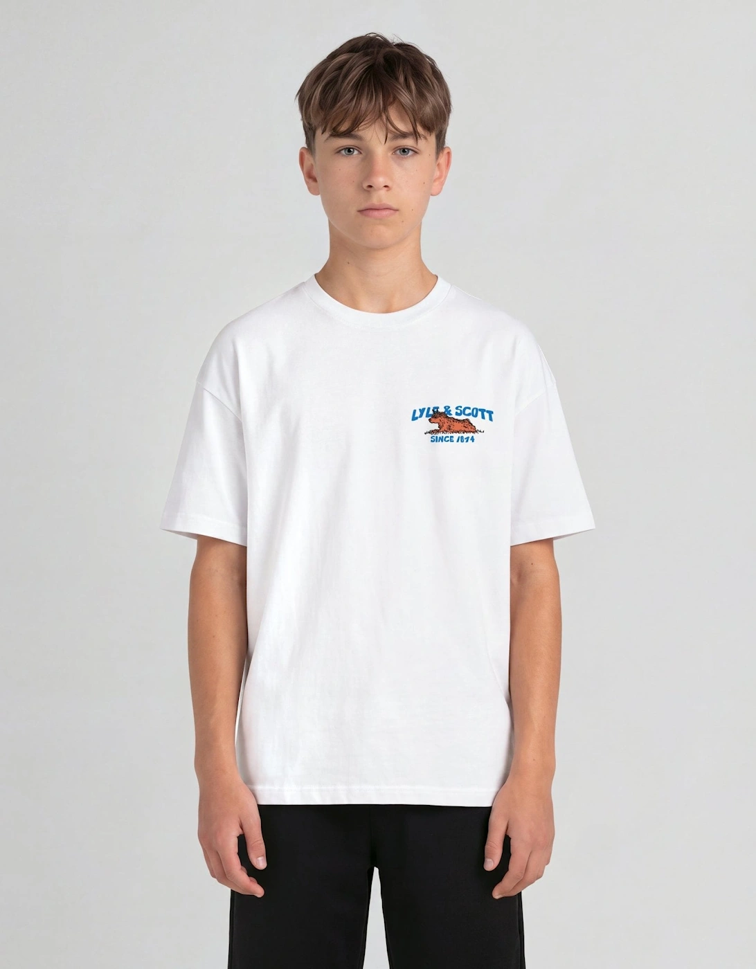 Highland Cow Graphic T -Shirt