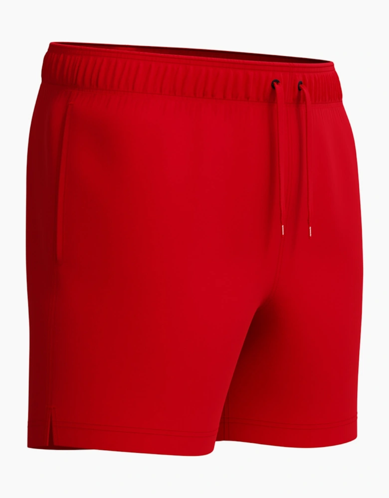 Speedo Mens Classic Volley Logo Swim Shorts
