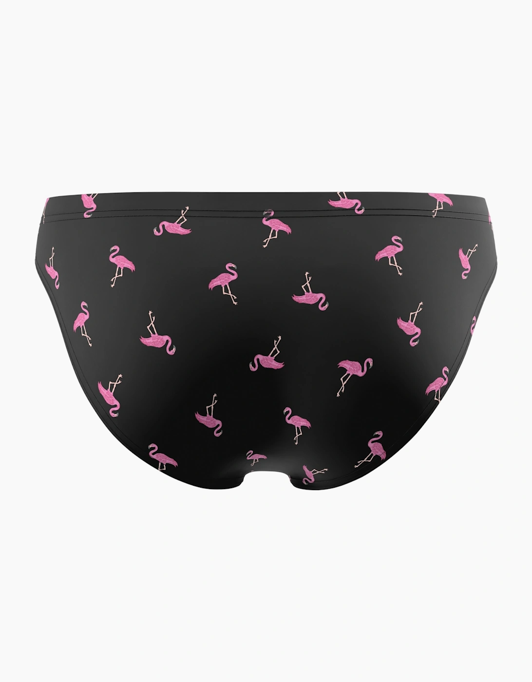 Speedo Mens Beachstar Flamingo Swim Briefs