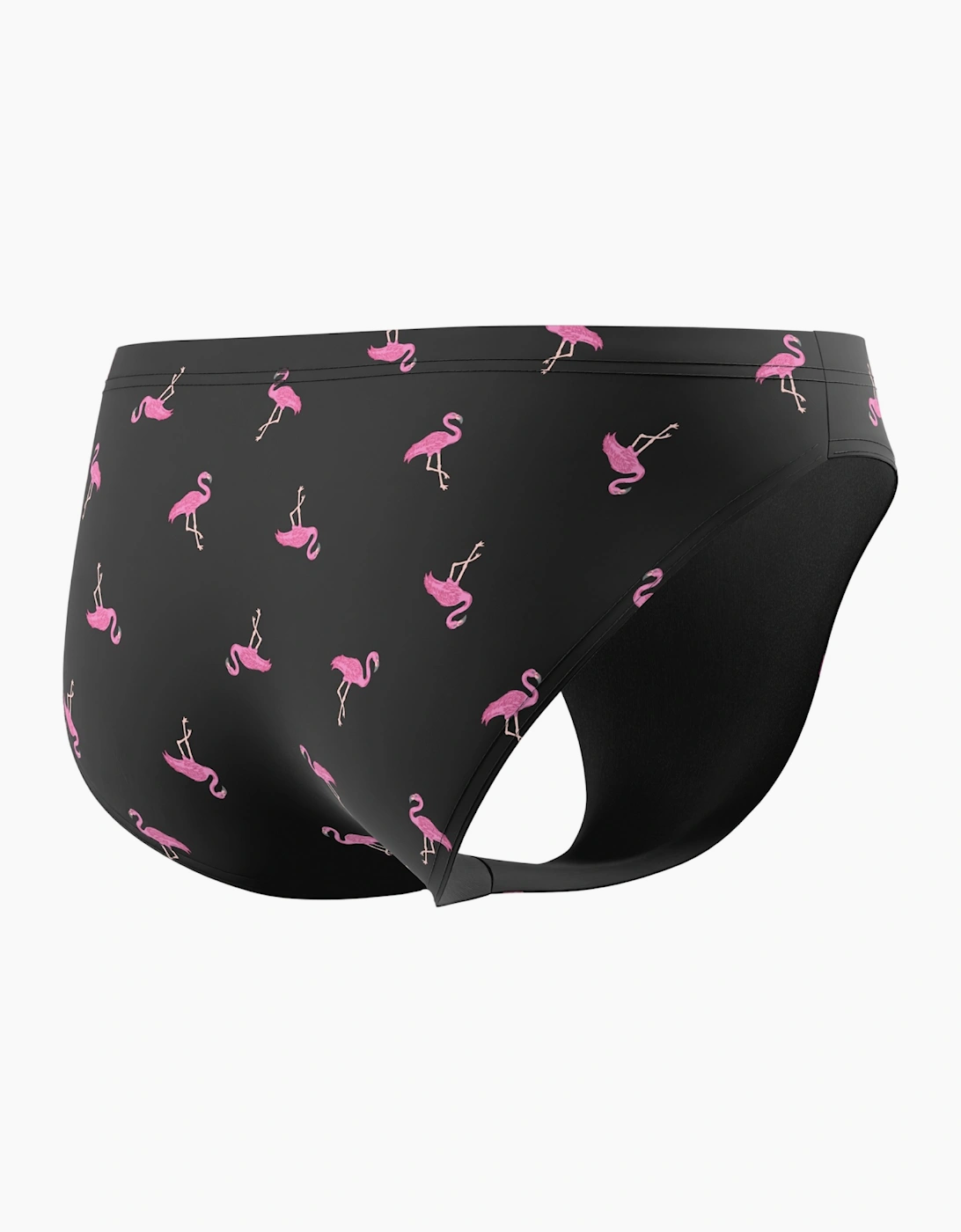 Speedo Mens Beachstar Flamingo Swim Briefs