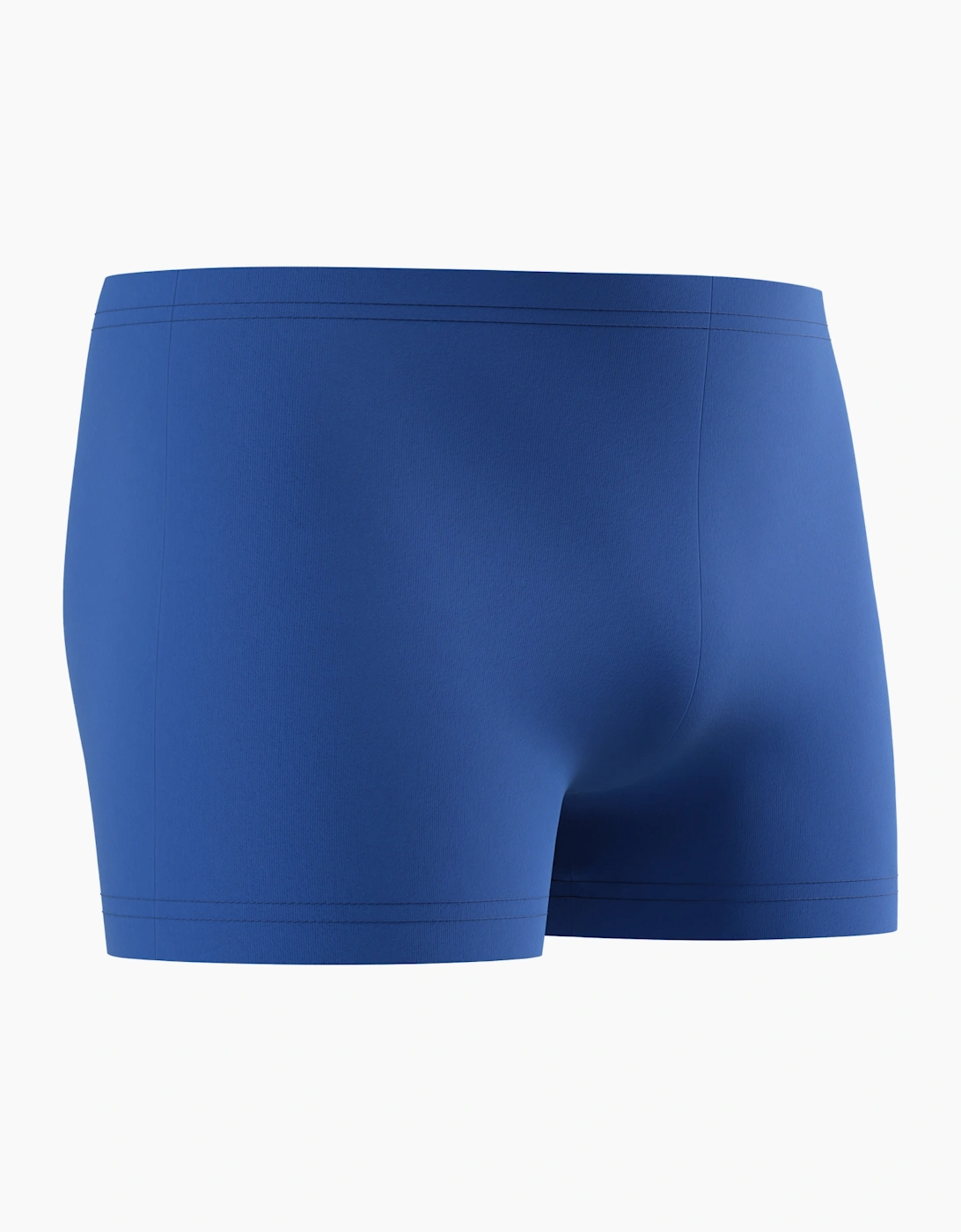 Speedo Mens Big Logo Endurance+ Swim Shorts