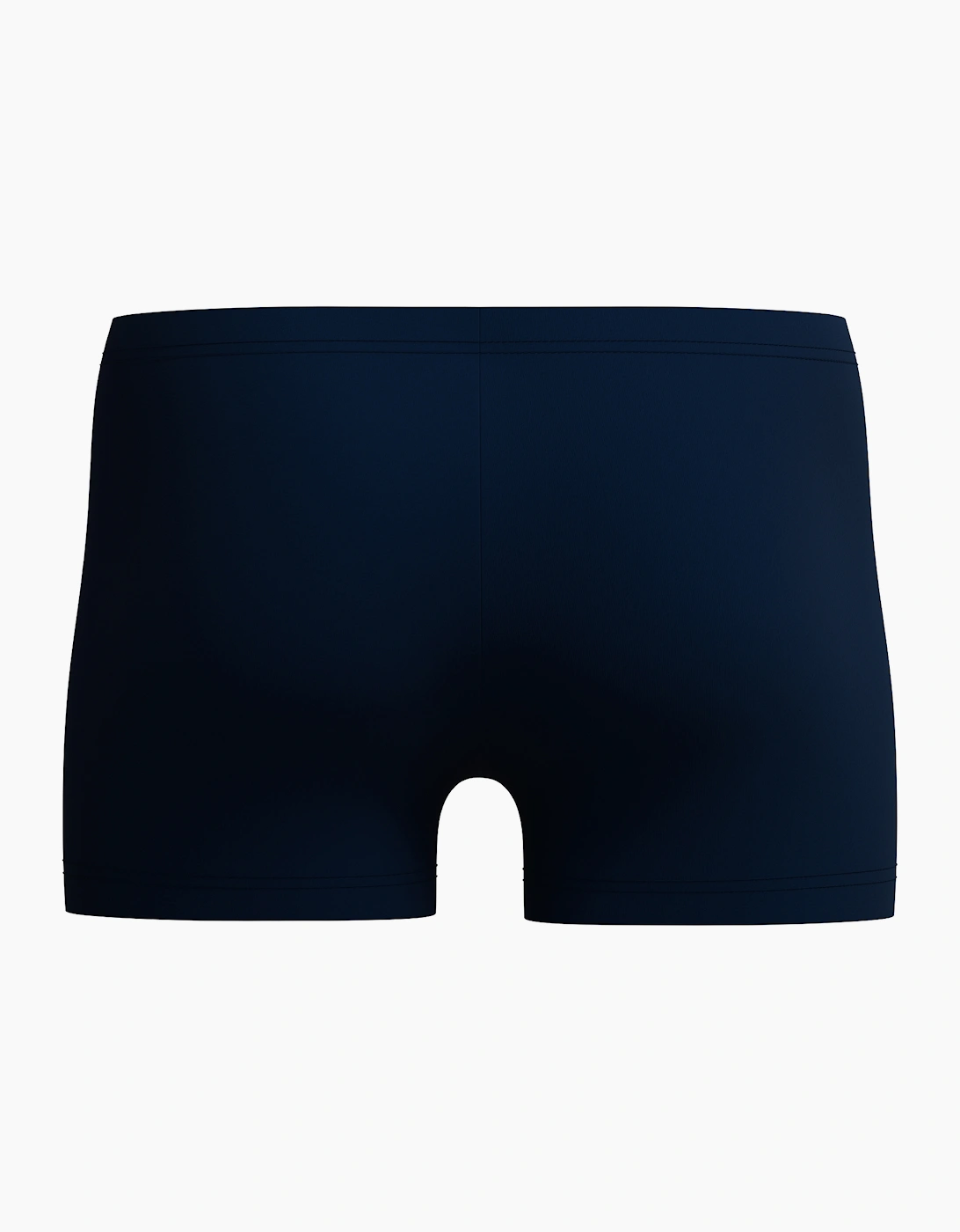 Speedo Mens Medley Logo Swim Shorts