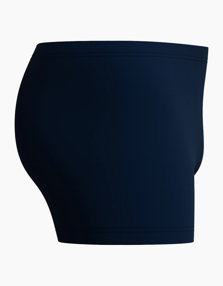 Speedo Mens Medley Logo Swim Shorts