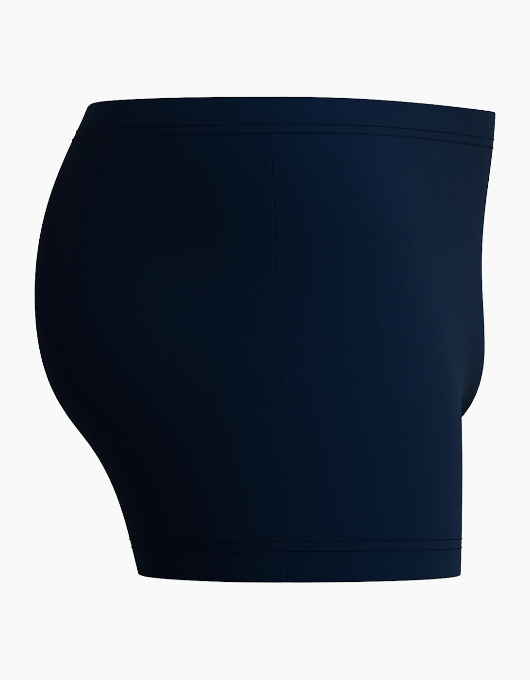 Speedo Mens Medley Logo Swim Shorts