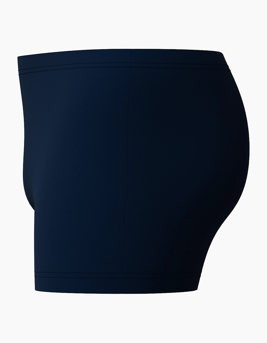 Speedo Mens Medley Logo Swim Shorts