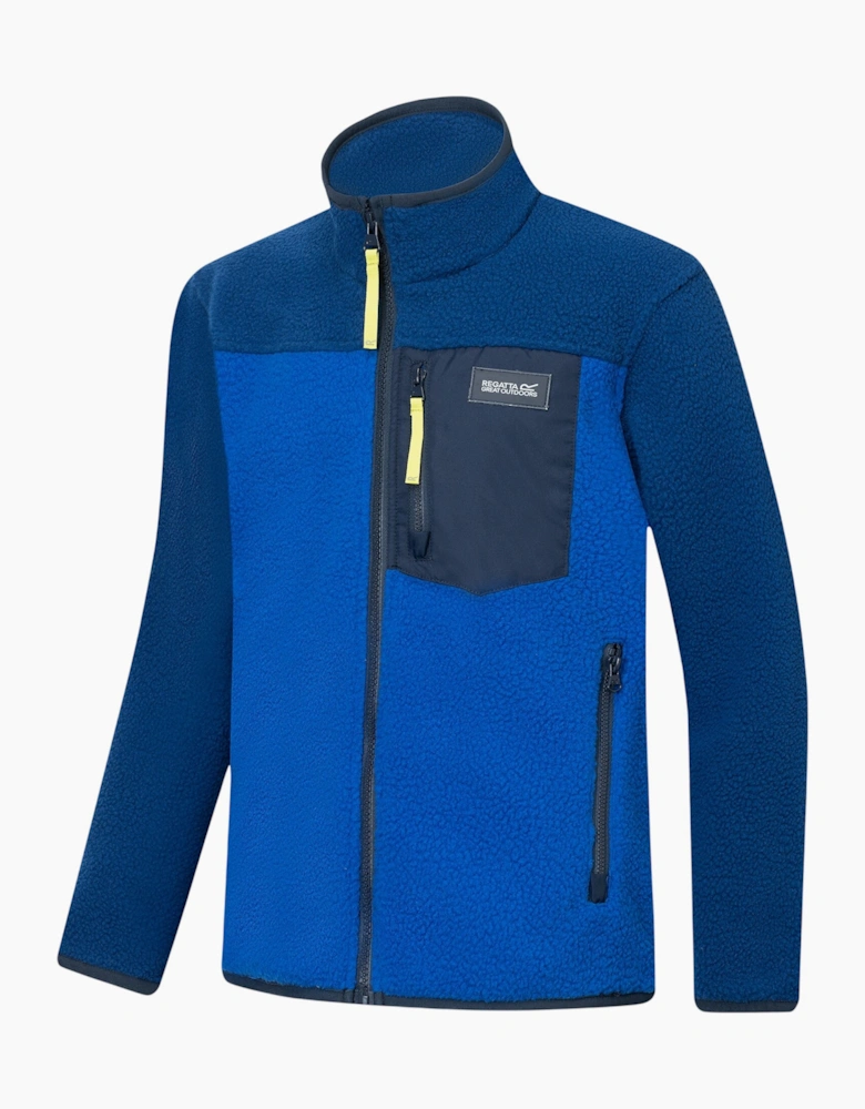 Regatta Childrens/Kids Frankie Colour Block Fleece Jacket