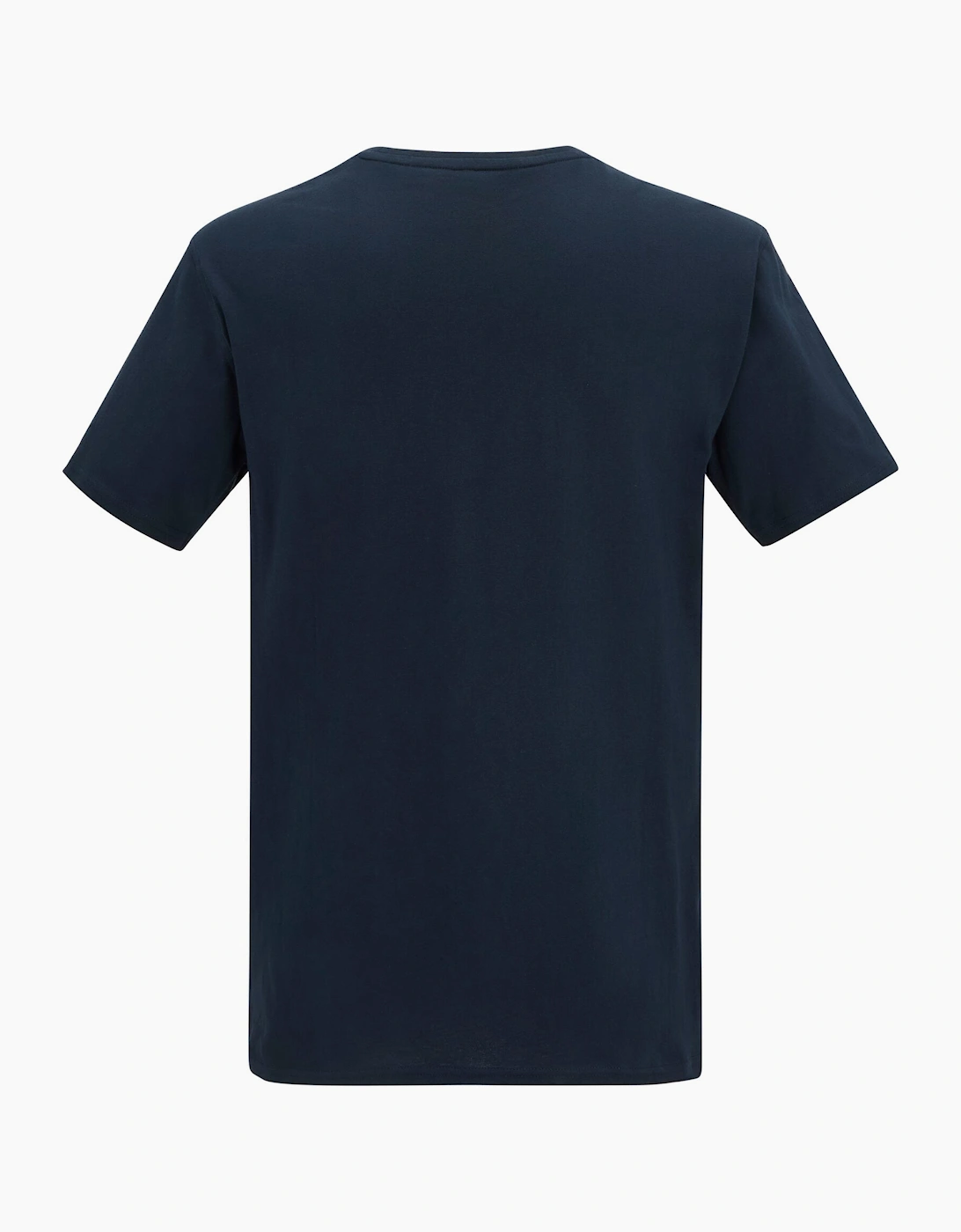 Regatta Mens Cline IX Mountain T-Shirt