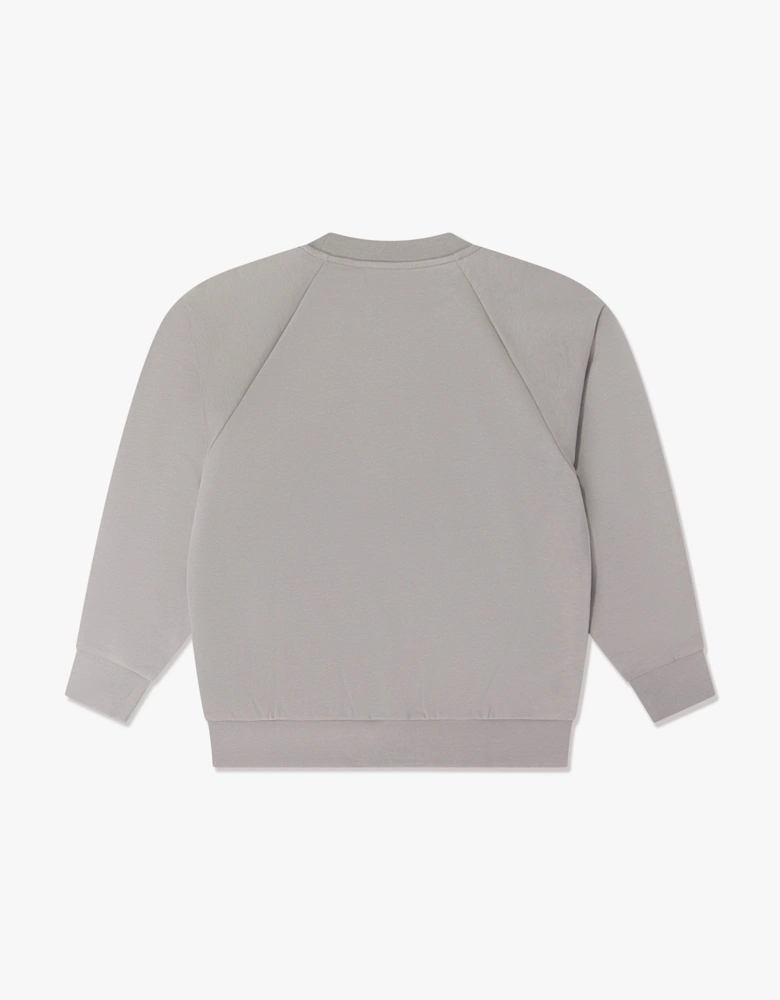 EA7 Emporio Armani Boys Train Logo Tape Sweatshirt in Grey