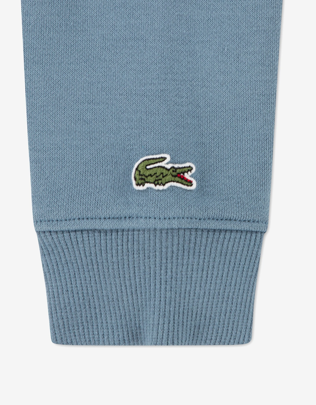 Lacoste Boys Chenille Patch Hoodie in Blue