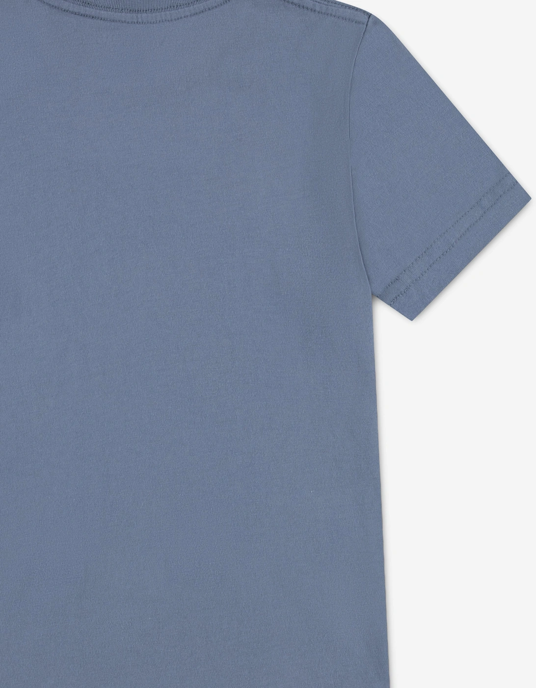 Abercrombie & Fitch Boys Moose Lockup T-Shirt in Blue