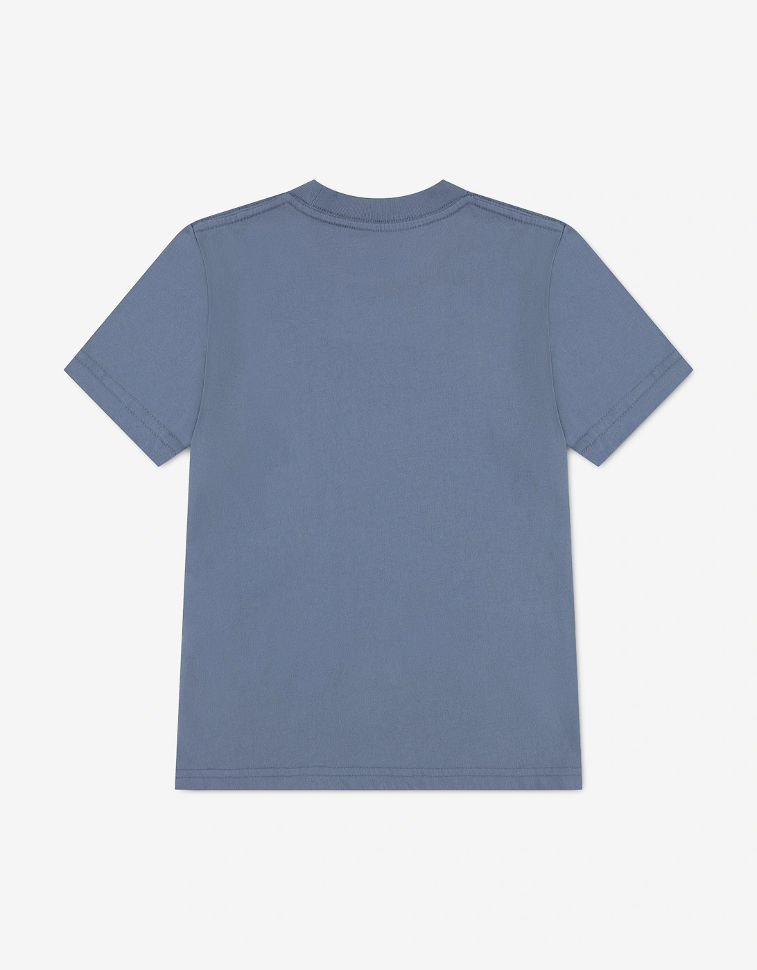 Abercrombie & Fitch Boys Moose Lockup T-Shirt in Blue