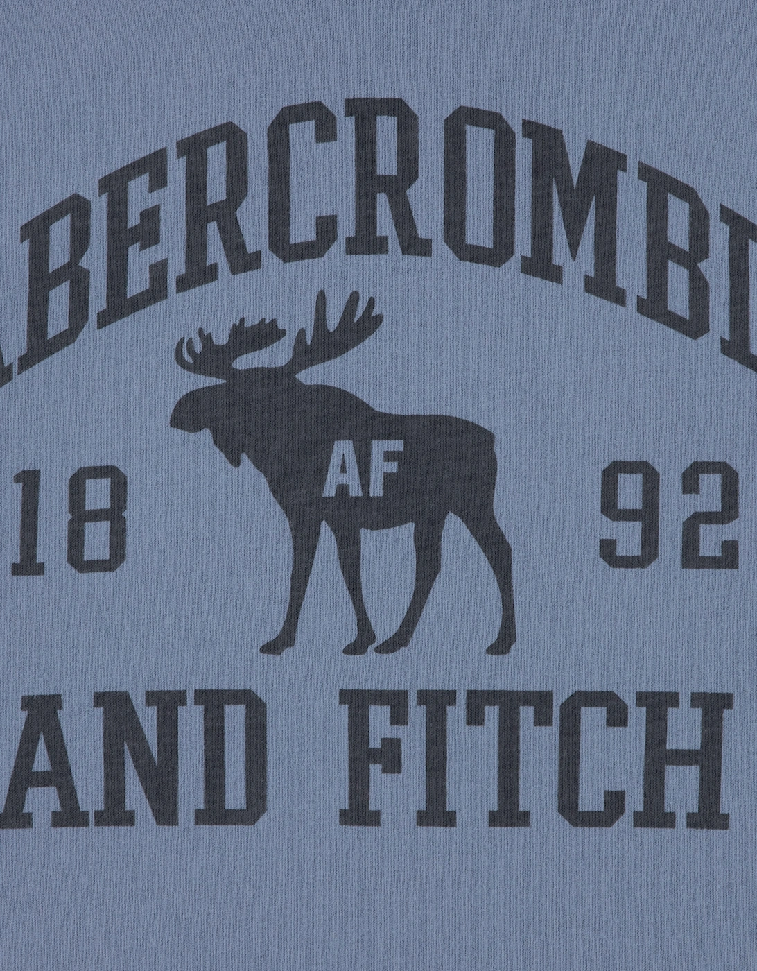 Abercrombie & Fitch Boys Moose Lockup T-Shirt in Blue