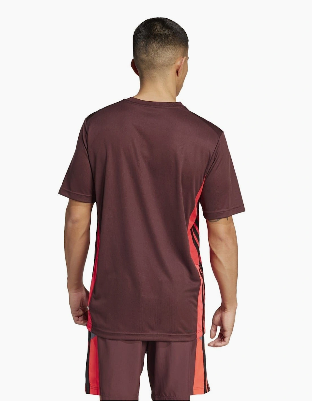 Crew Neck Short Sleeve Regular Fit T-Shirt
