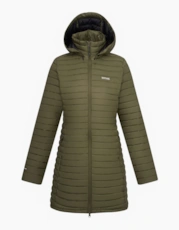 Olive Night