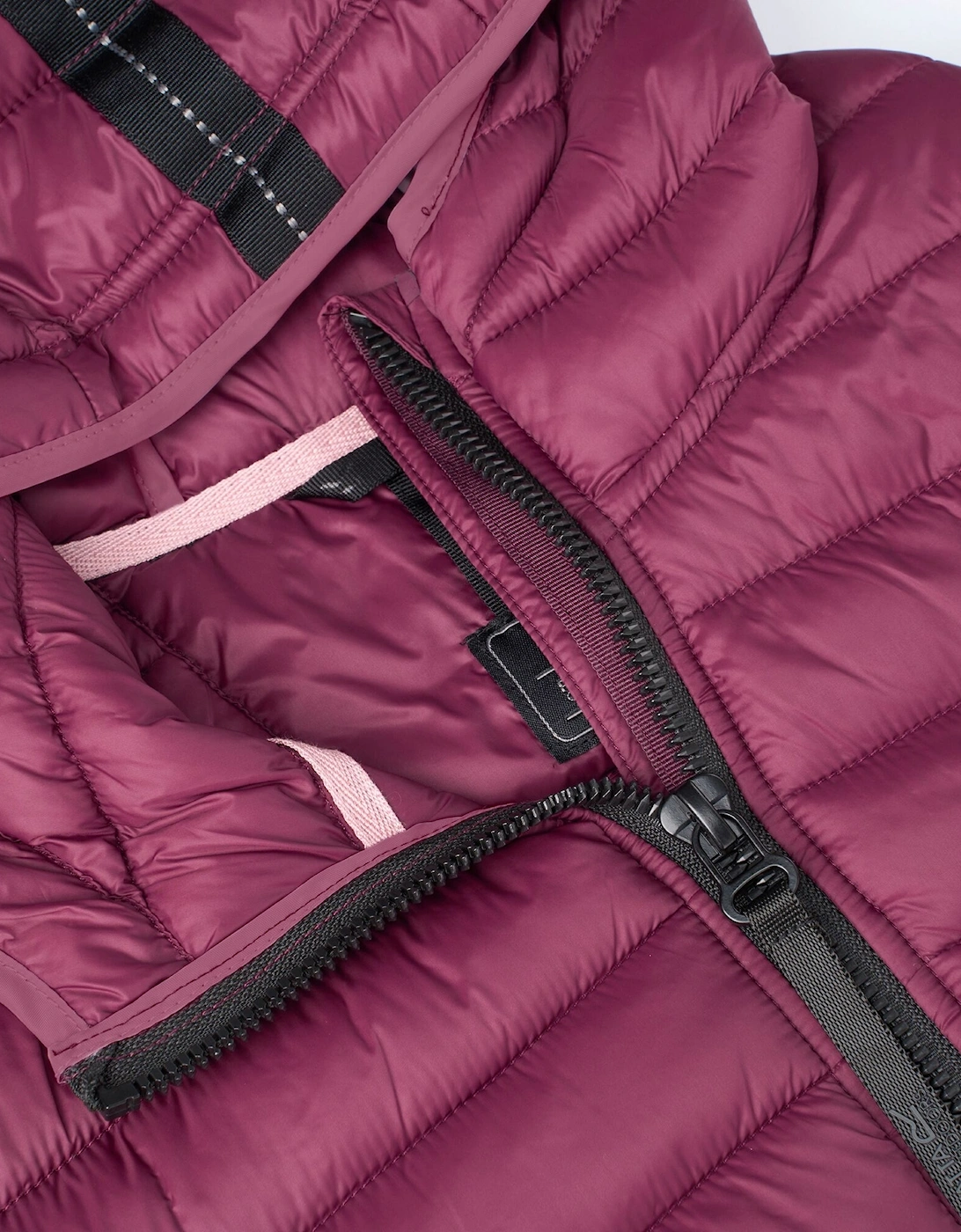 Regatta Womens/Ladies Haile Padded Jacket