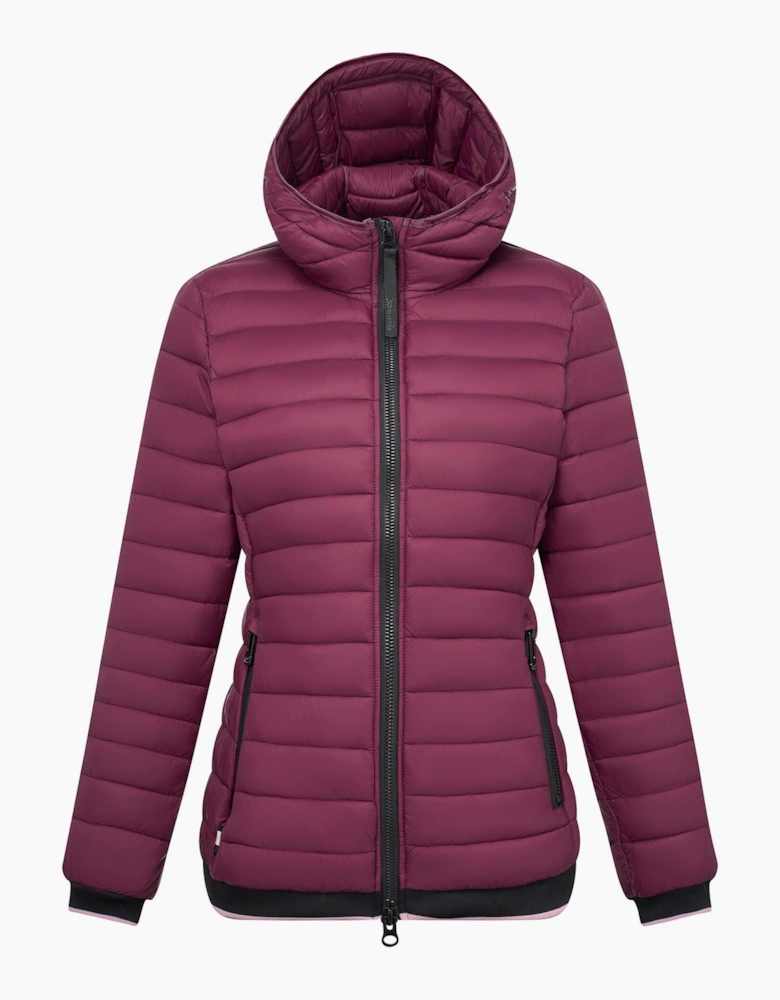 Regatta Womens/Ladies Haile Padded Jacket