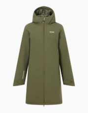 Olive Night