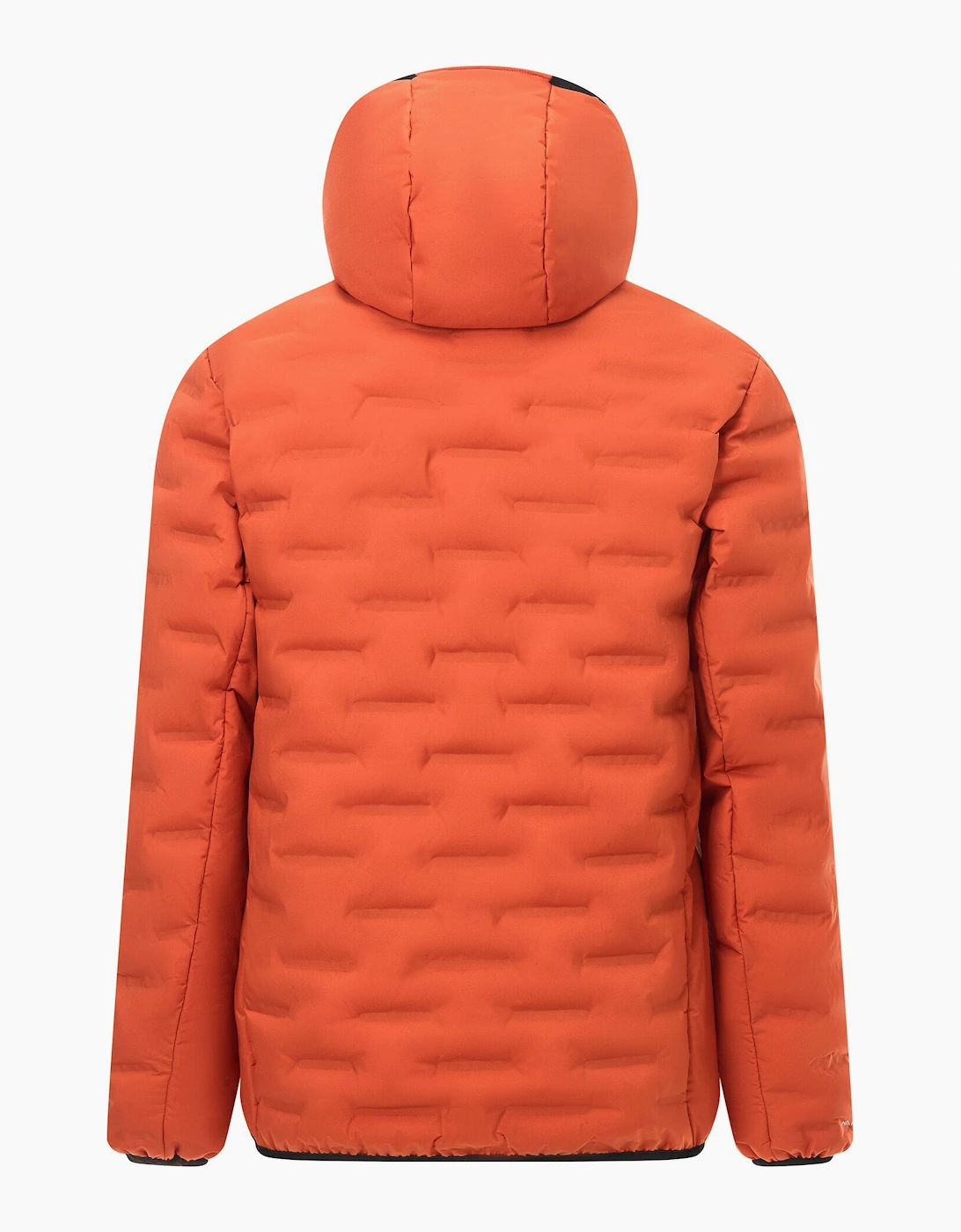 Regatta Mens Astrel Padded Jacket