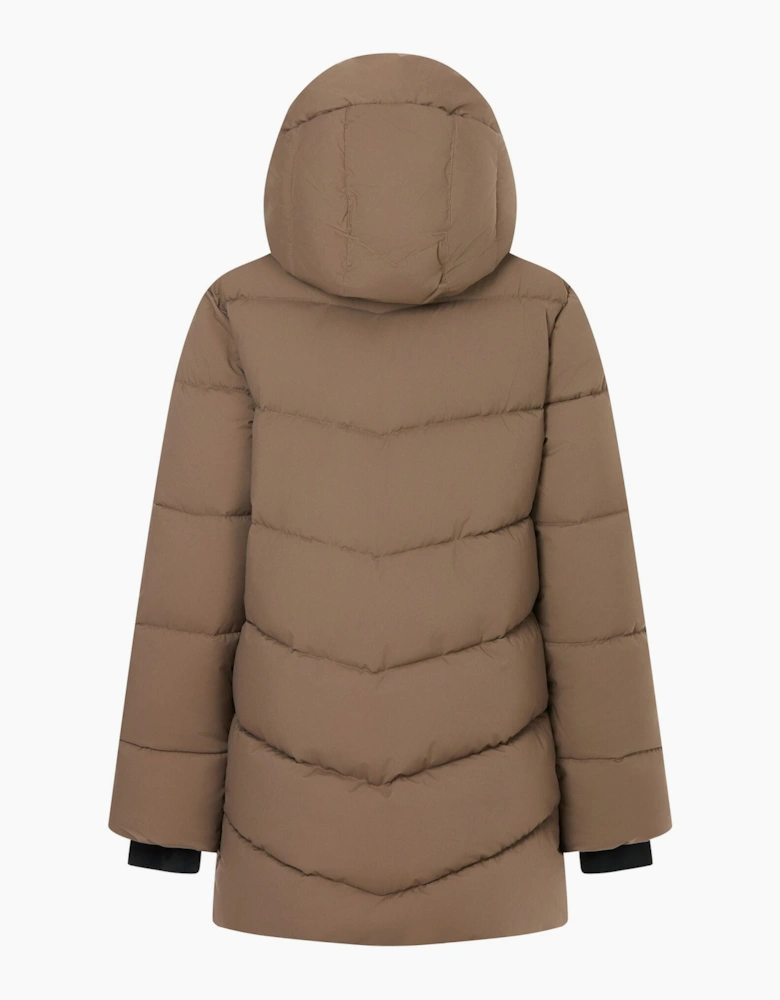 Regatta Womens/Ladies Faye Padded Jacket