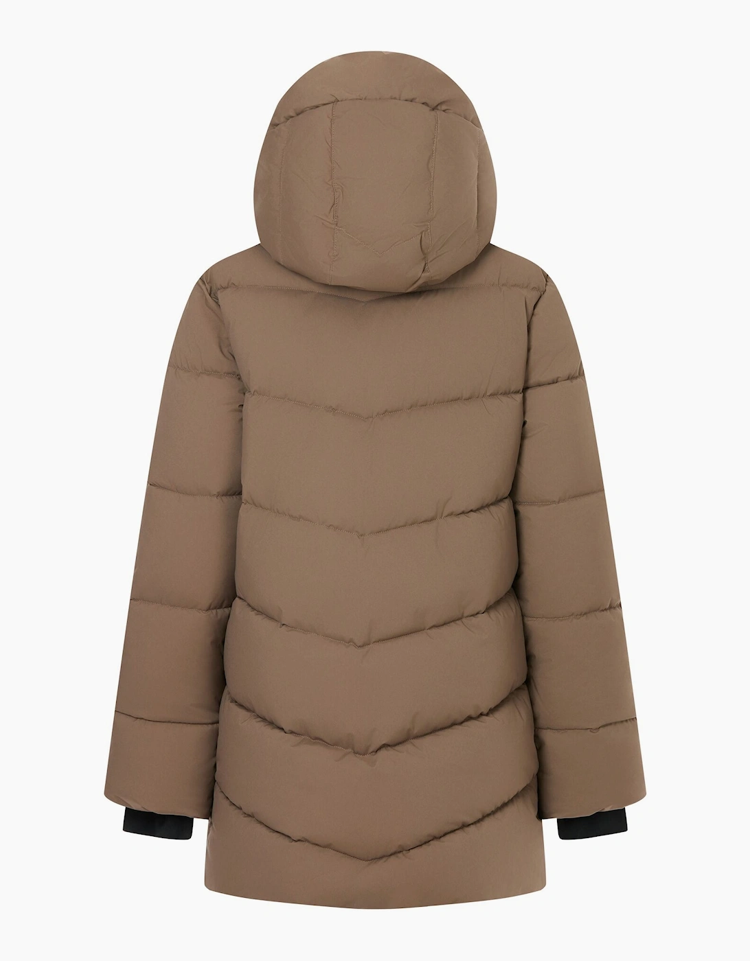 Regatta Womens/Ladies Faye Padded Jacket
