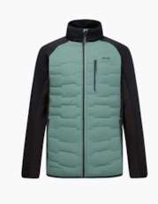 Dark Forest Green