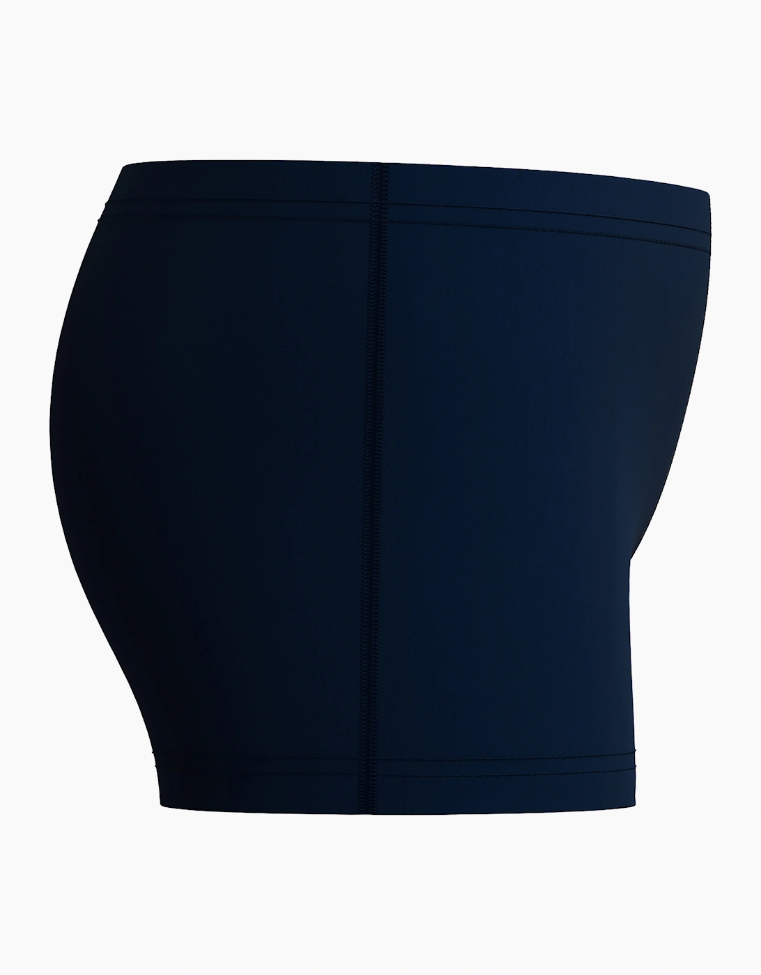 Speedo Boys Medley Logo Swim Shorts