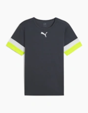 Gray/Yellow