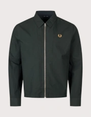 Q20 Night Green