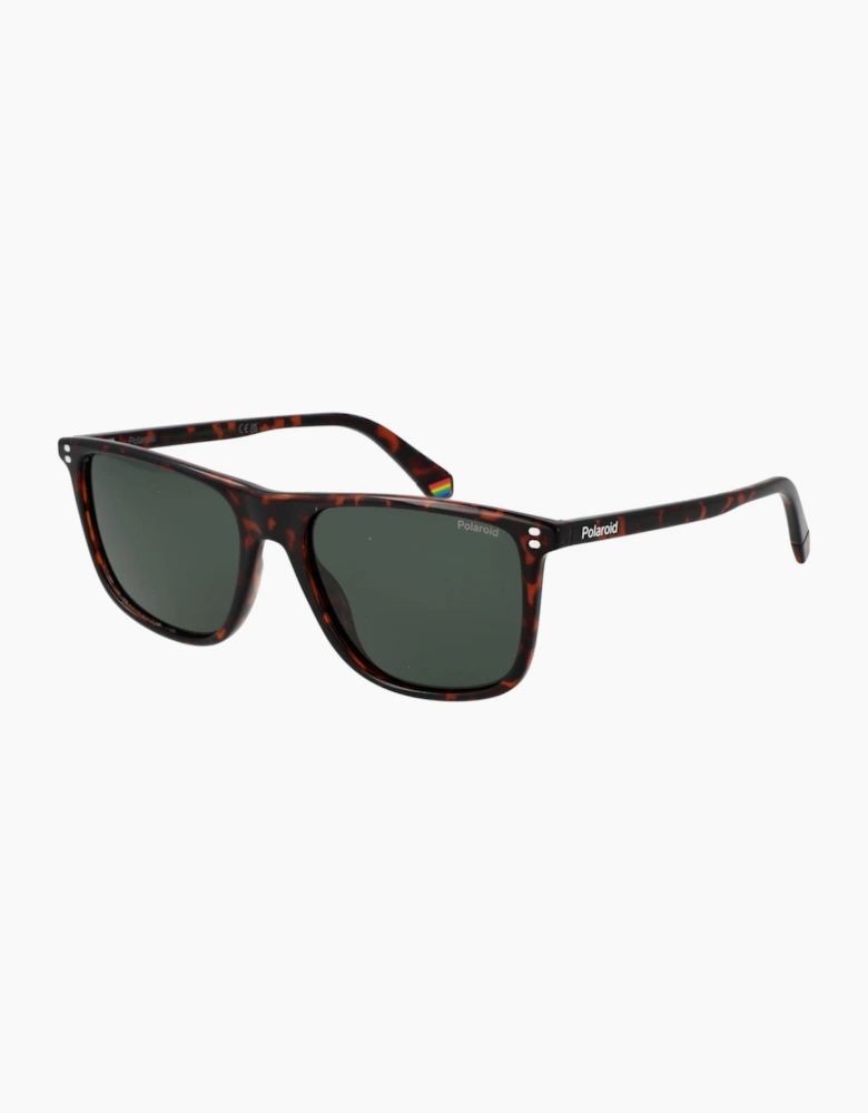 Polaroid Sunglasses PLD 6232/S 086UC 55