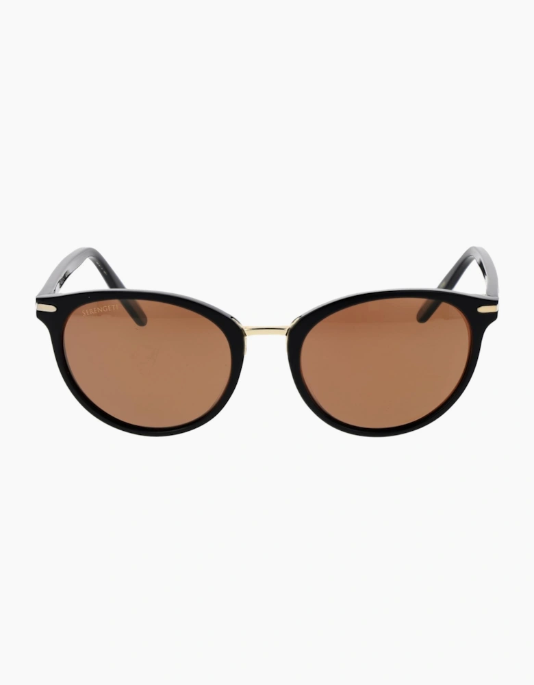 Serengeti Sunglasses 8846 Elyna 54