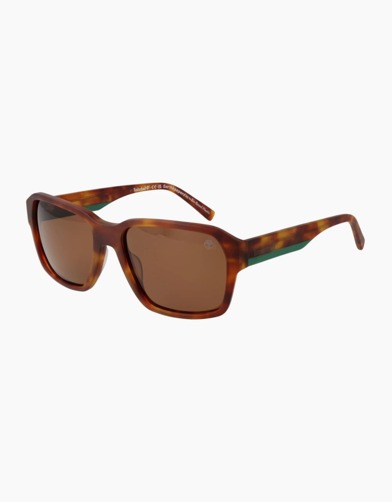 Timberland Sunglasses TB9343 53H 57