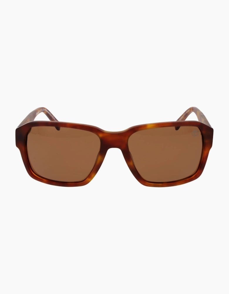 Timberland Sunglasses TB9343 53H 57