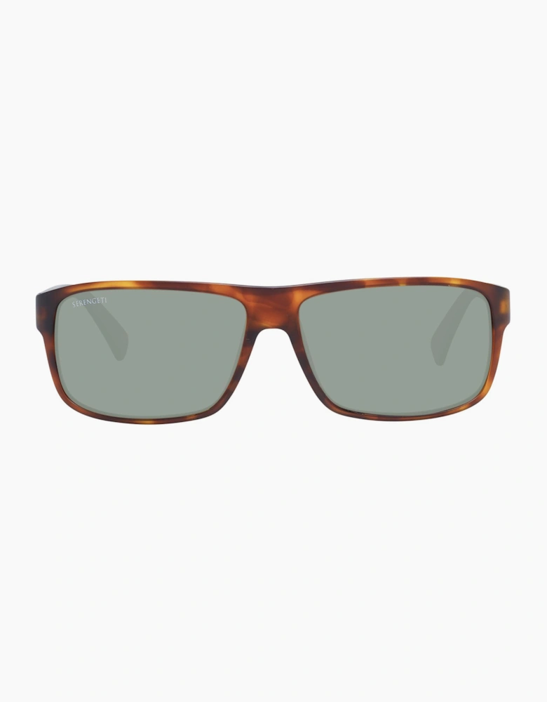 Serengeti Sunglasses 9053 Claudio 61