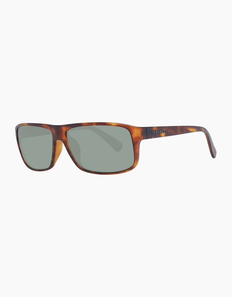 Serengeti Sunglasses 9053 Claudio 61