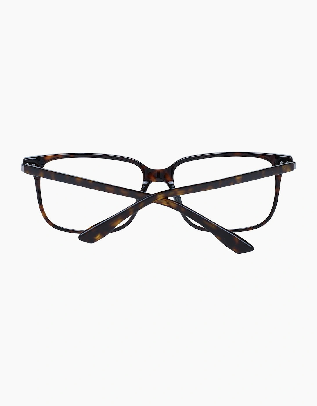 BMW Optical Frame BW5033-F 052 56