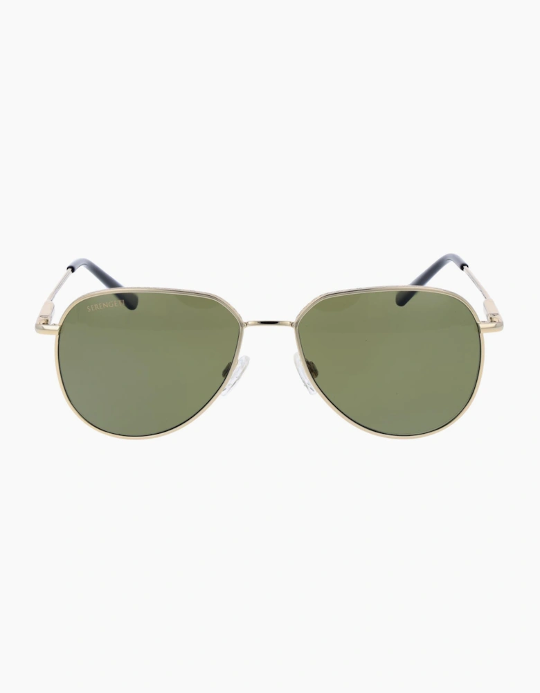 Serengeti Sunglasses SS543003 Haywood