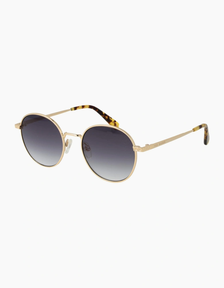 Ted Baker Sunglasses TB1679 474 49