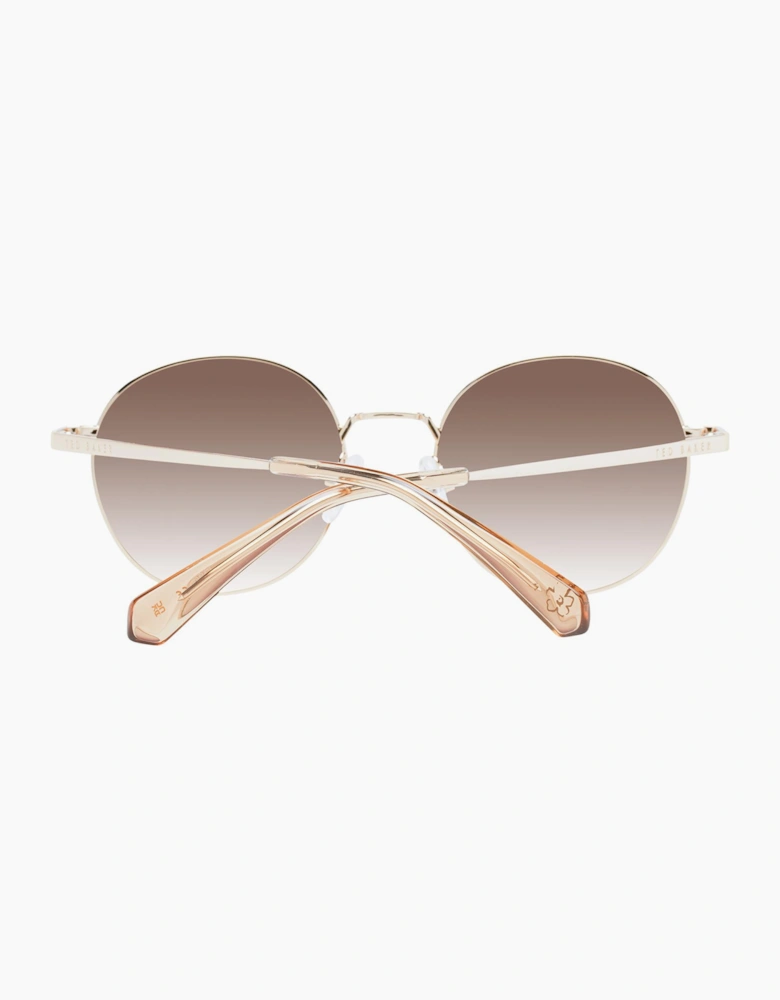 Ted Baker Sunglasses TB1679 449 49