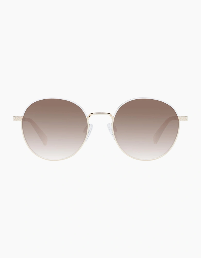 Ted Baker Sunglasses TB1679 449 49