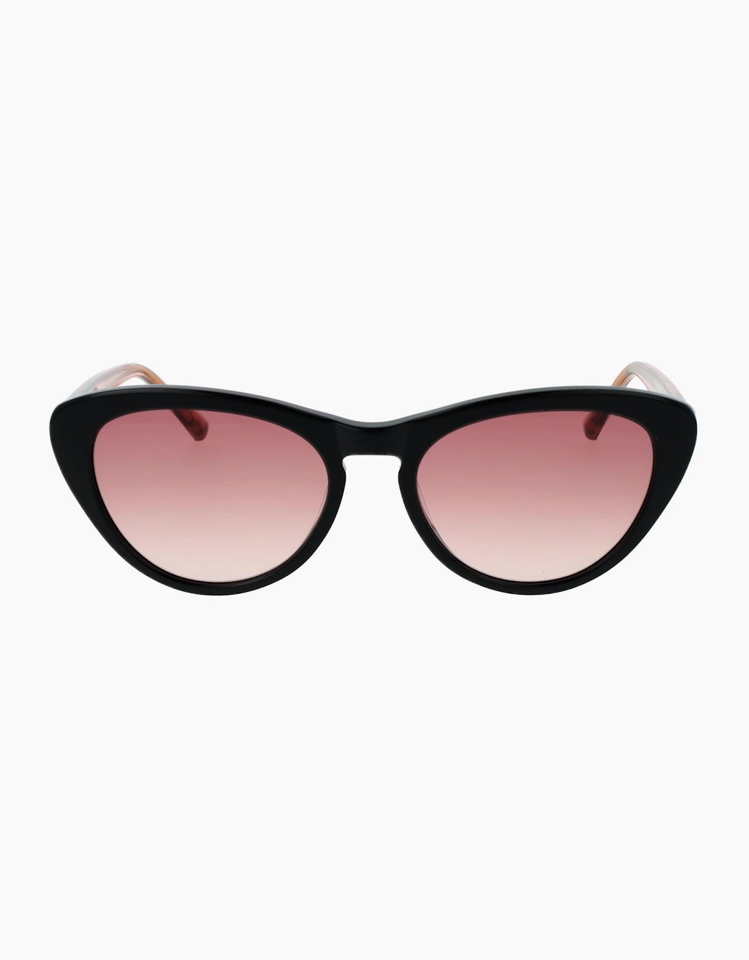 Ted Baker Sunglasses TB1690 001 53