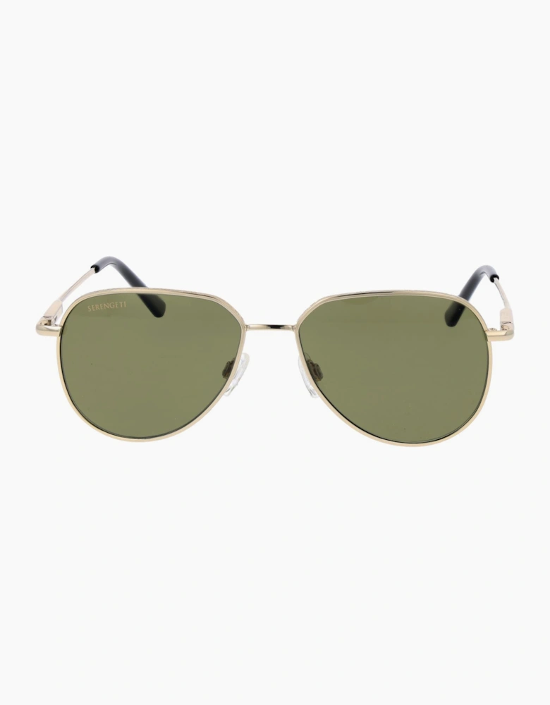 Serengeti Sunglasses SS544003 Haywood Small 55