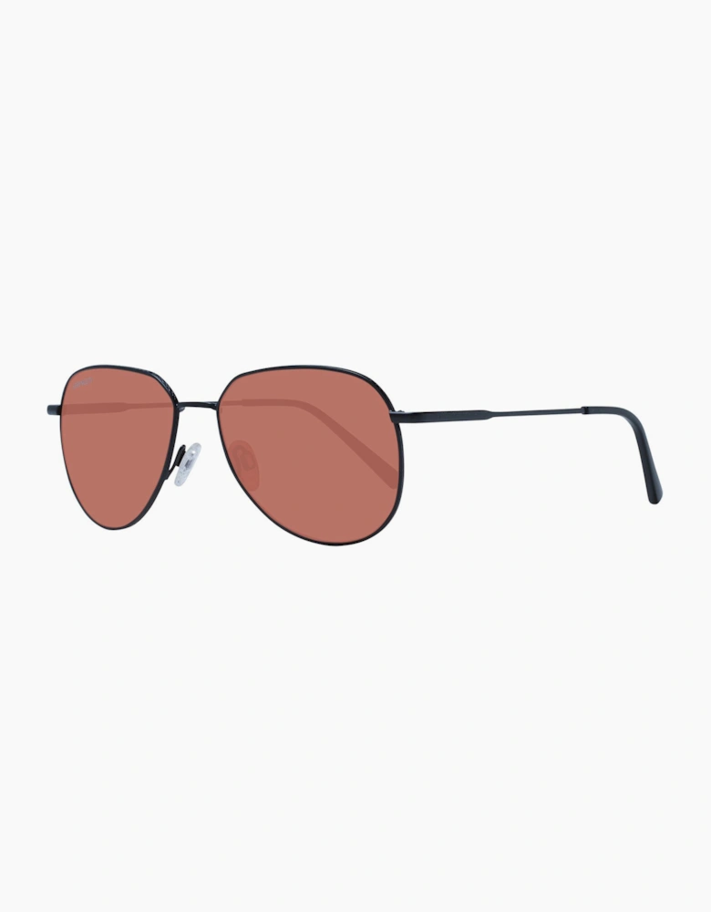 Serengeti Sunglasses SS543004 Haywood 56